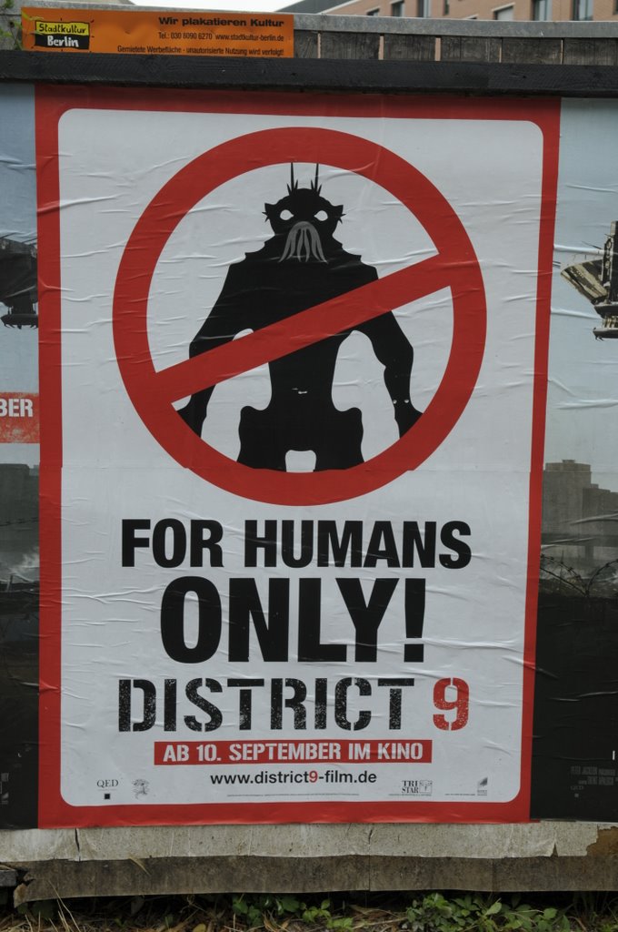 [_CTR6156-709718.jpg]