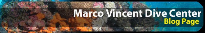 MV Dive blog