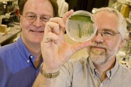 [PHP482F8585BE176.jpg]