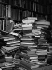 [stack+of+books.jpg]