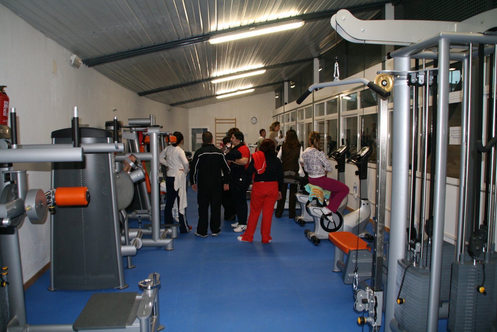[IMG_5033.JPG]