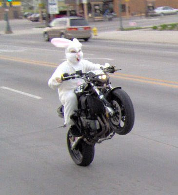BikerBunny.jpg