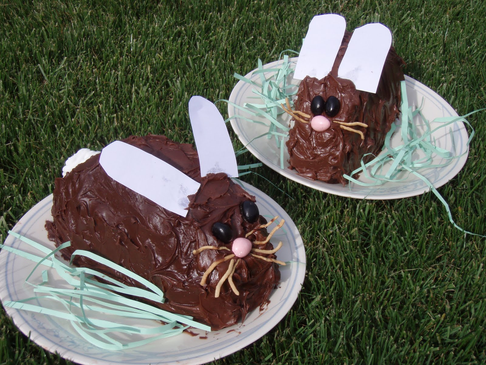 Chocolate Bunny Cake