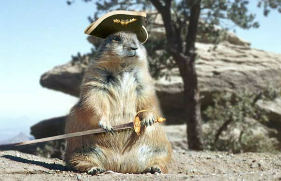 [Pirate_squirrel_1.jpg]