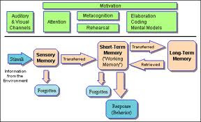 information processing model reasons reading