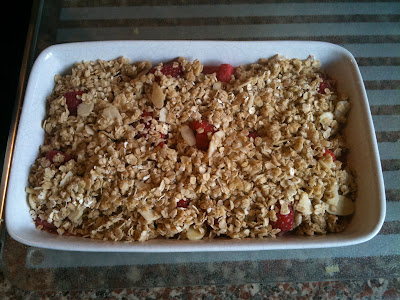 Weightwatchers Rhubarb and Raspberry Crumble