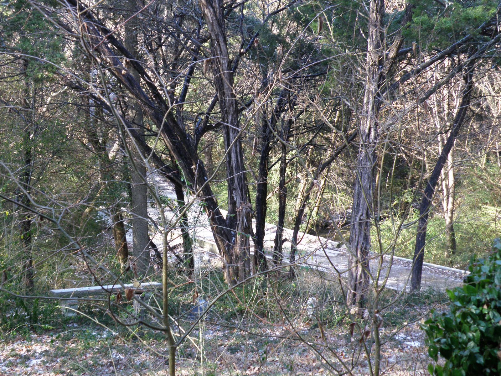 [P1280006.JPG]