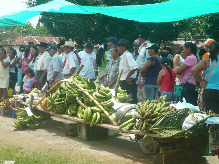 JUNTOS SANTA ROSALIA VICHADA CELEBRACIÓN EN SANTA ROSALÍA