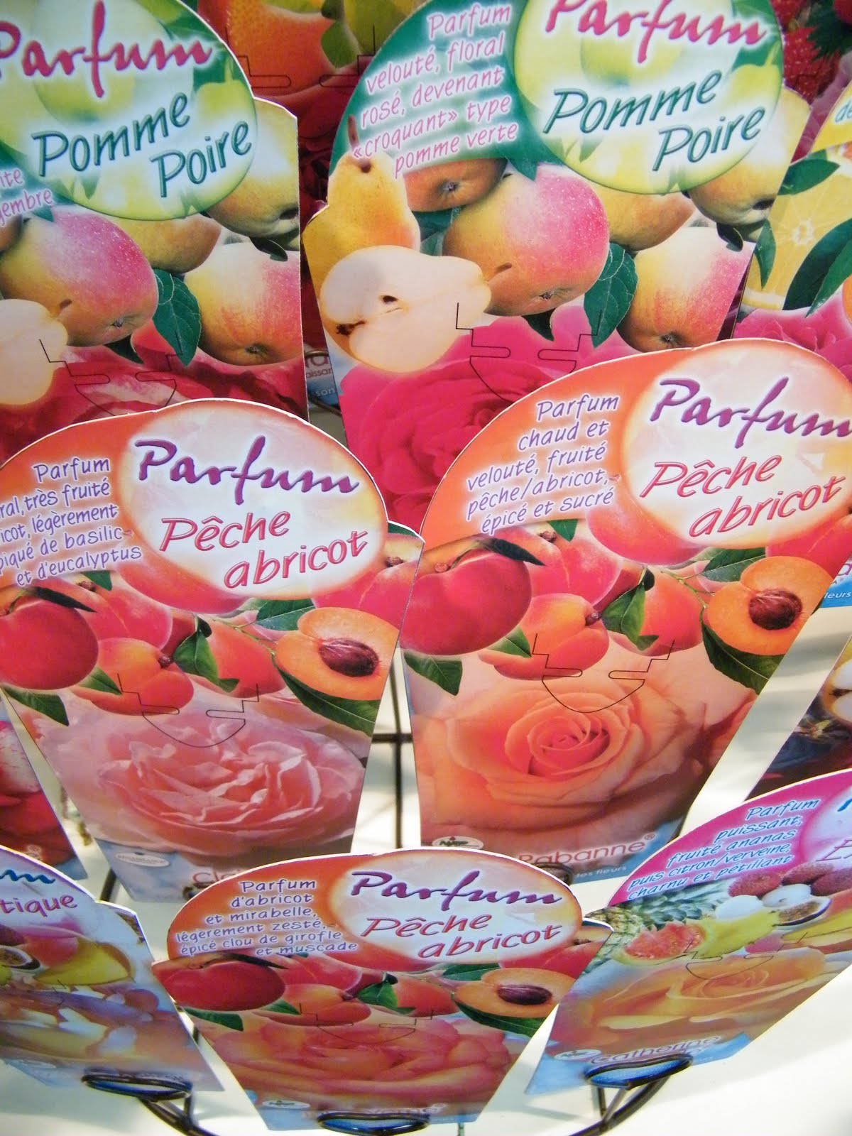 Freshandsalted: rozen en frambozen: over zintuigmarketing Kleur levende voorbeelden