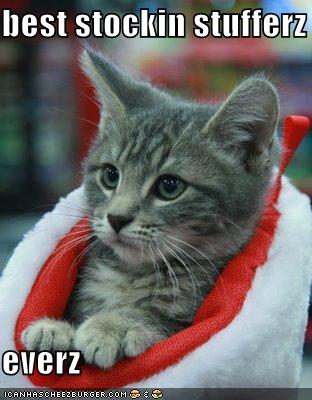 [funny-pictures-this-cat-is-the-best-stocking-stuffer-741751.jpg]