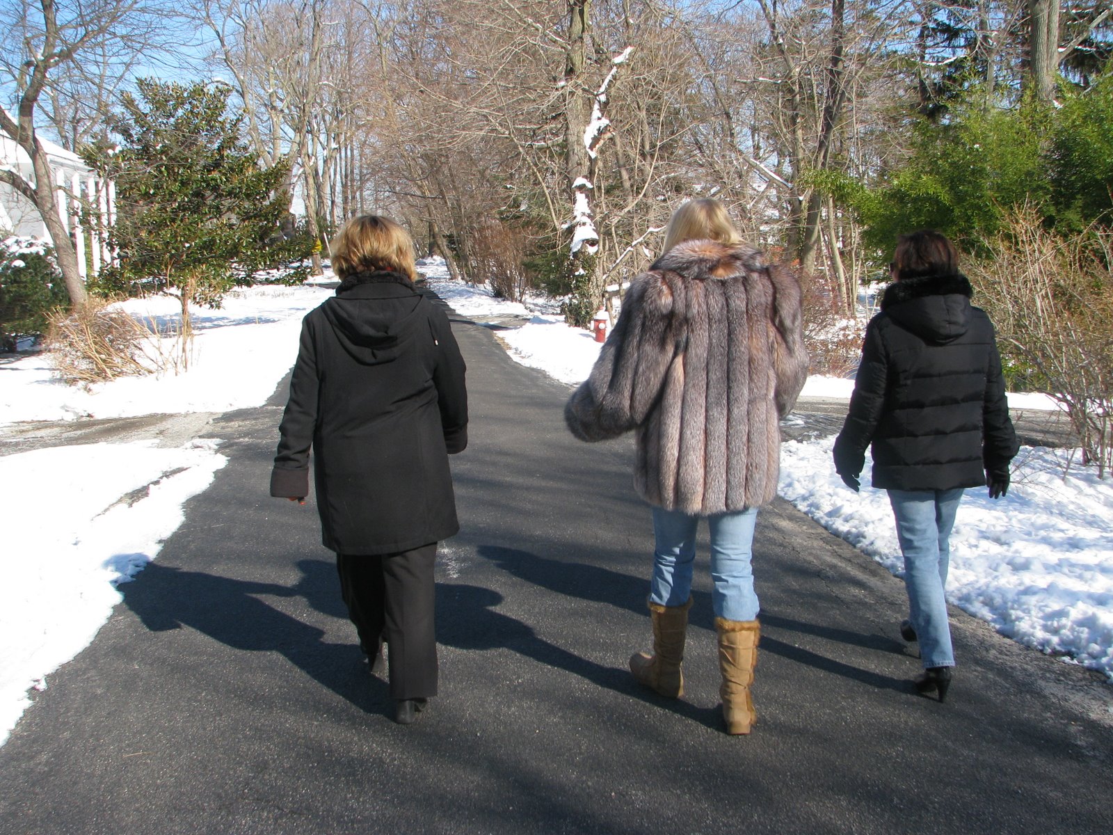 [NYC+Feb+2008+048.jpg]