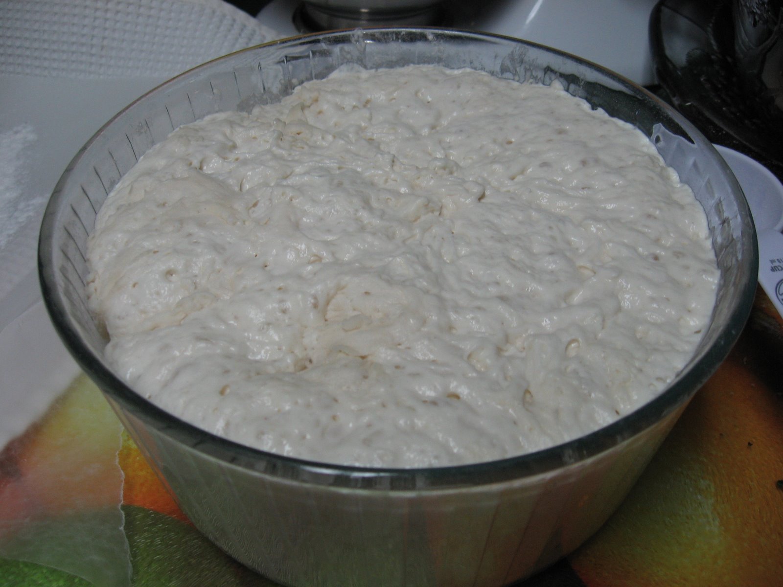 [No+Knead+Bread+001.jpg]