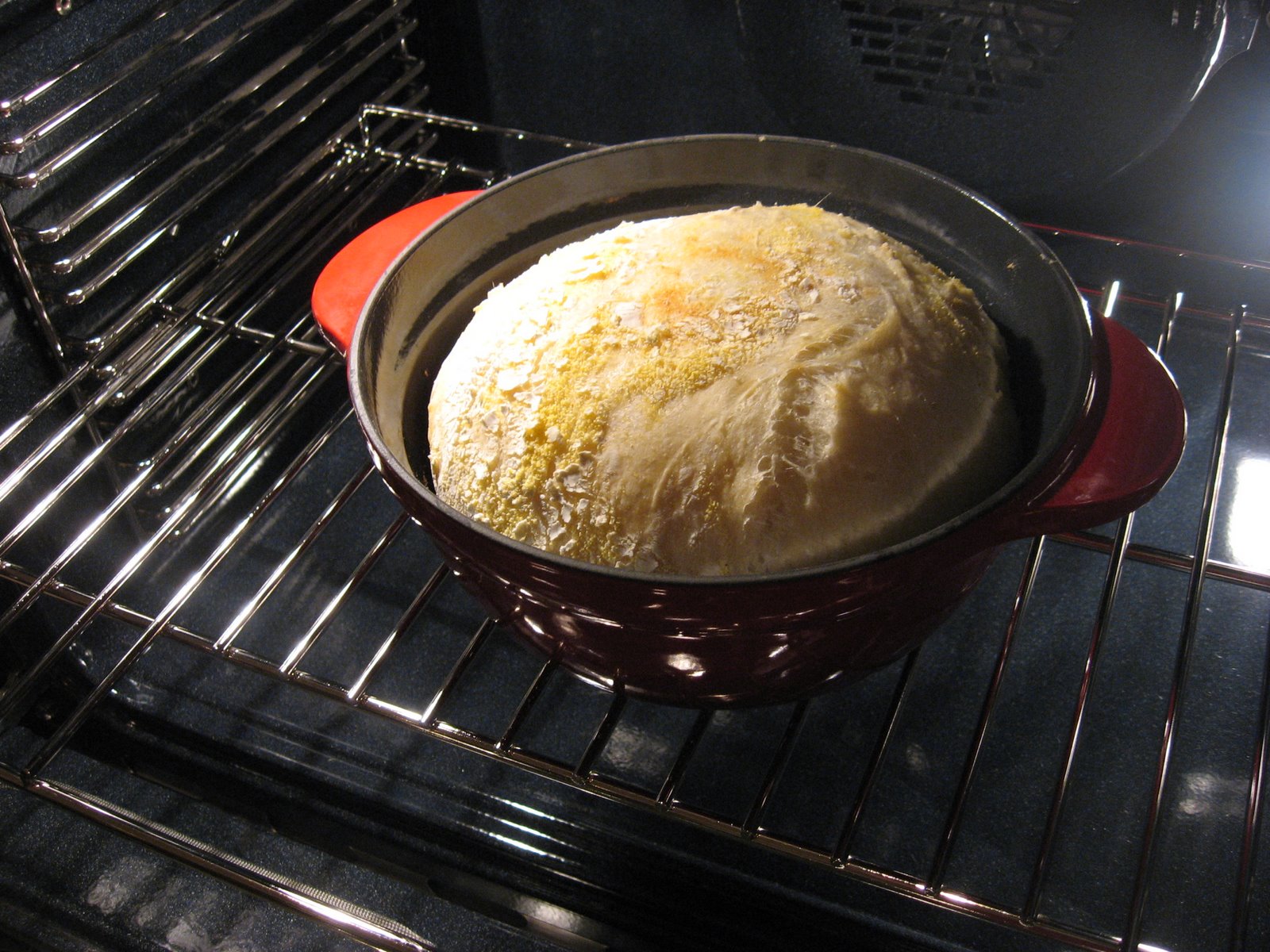 [No+Knead+Bread+004.jpg]