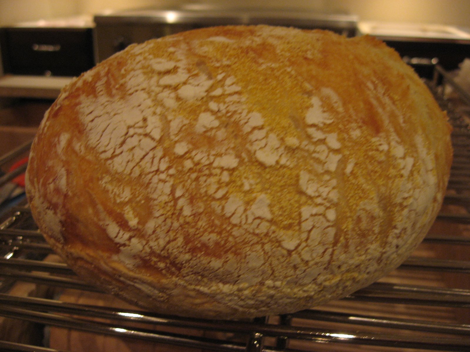 [No+Knead+Bread+009.jpg]