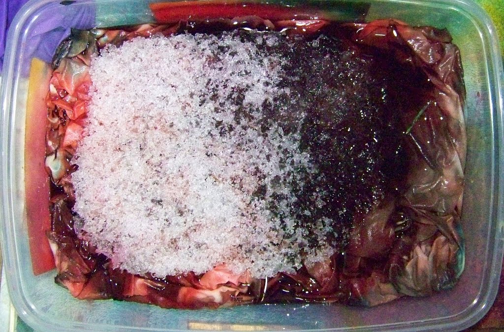 [January+2010+071.JPG]