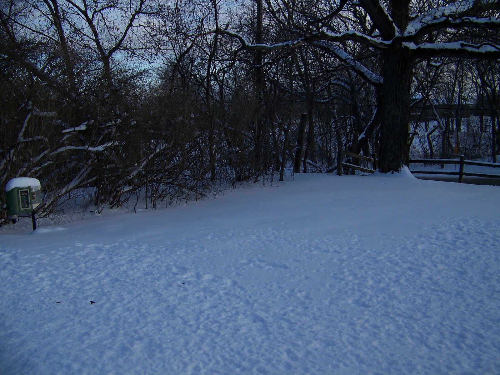 [January+2010+016.JPG]