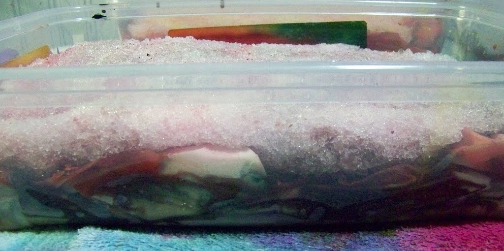 [January+2010+057.JPG]