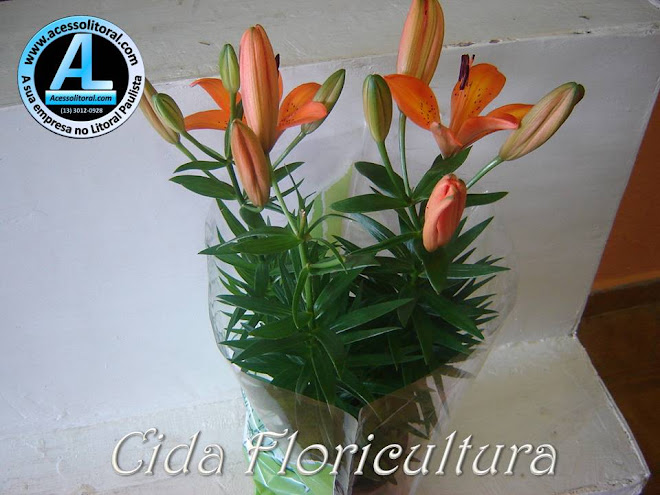 Cida Floricultura32