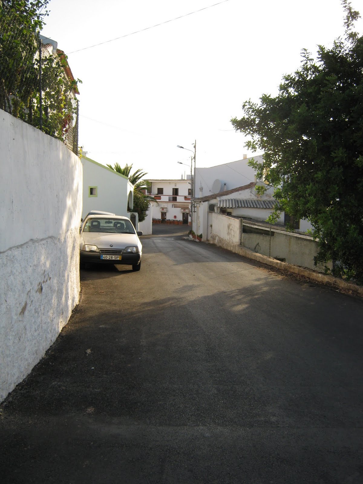 [IMG_0998.JPG]