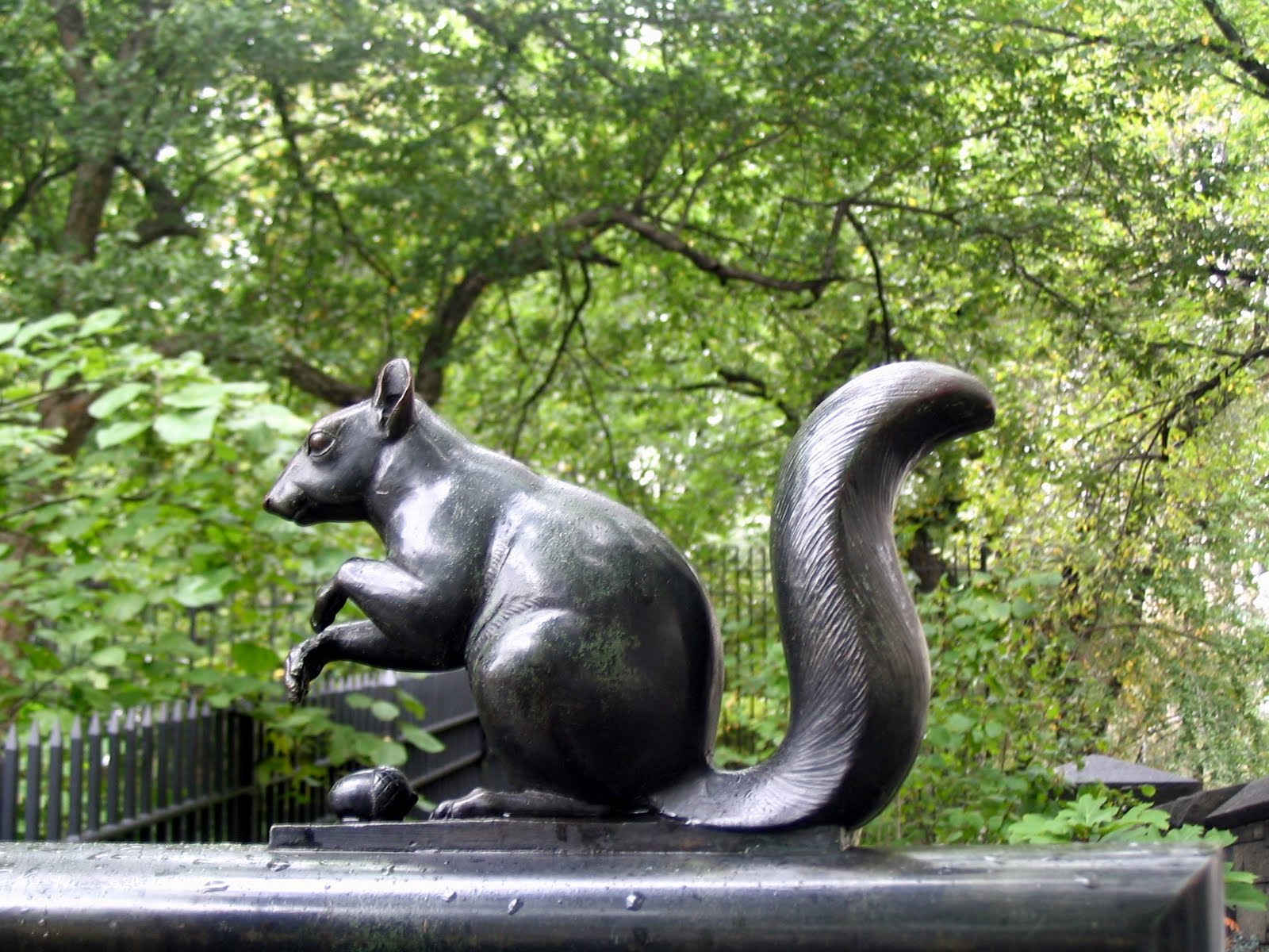 New York City Squirrel Found Squirrels Ancient Playground Squirrels