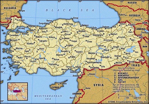[turkey.gif]