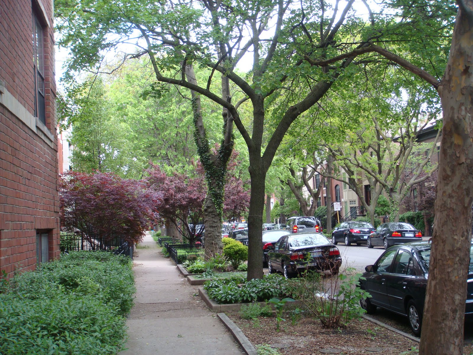 The Chicago Real Estate Local: Princeton Review: DePaul University, Lincoln Park ranked Top 20 ...