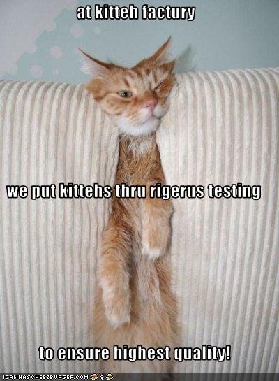 [loltesting.bmp]