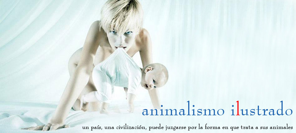 Animalismo Ilustrado