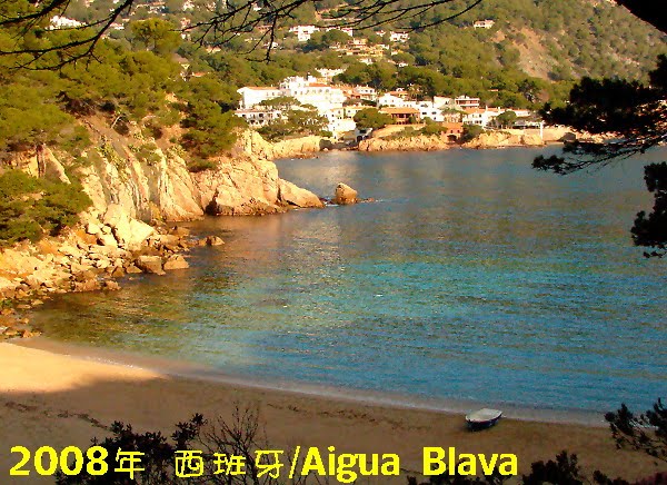 [2008+luwei+Aigua.JPG]