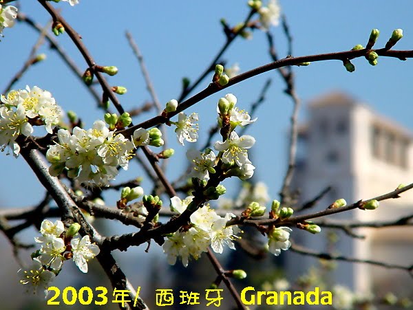 [2003+luwei+Granada.JPG]
