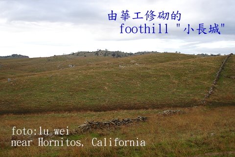 [Hornitos+stone+fence.JPG]