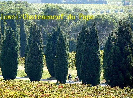 [la+Nerthe+vignes.JPG]