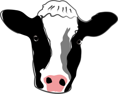 cow head photo