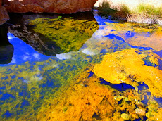 Paralana Hot Springs near Arkaroola, 7 May