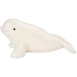 if i could be any animal i would be if i could be any animal i would be