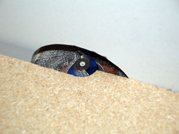 [rtrtbl-mount04.jpg]