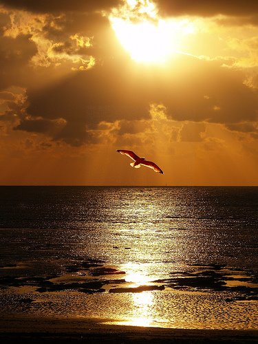 Al atardecer......