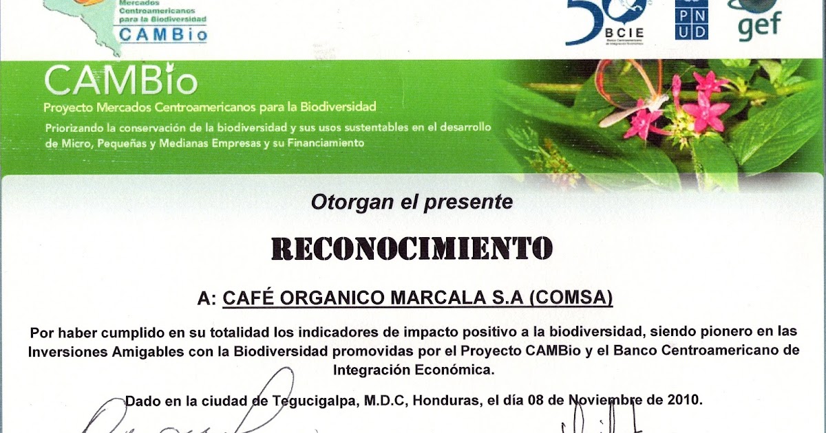 Cooperativas De Cafe Centroamerica Cooperativas De Cafe Centroamerica