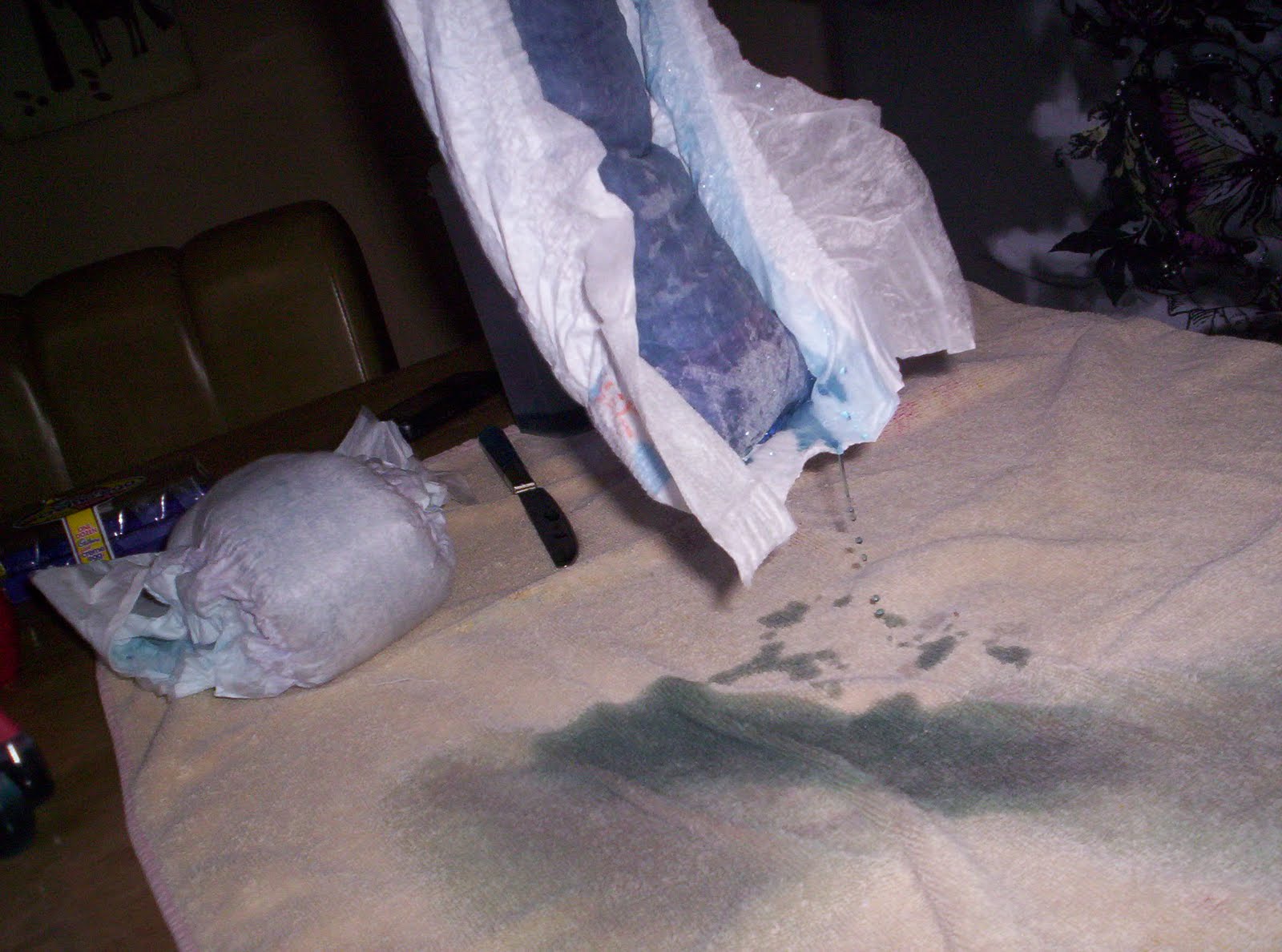 Mrs. Woodward's Blog Diaper Experiment