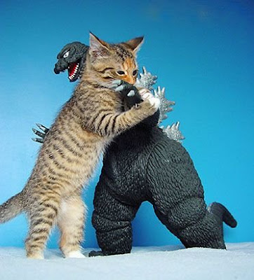 Ten Bucks on Kitty Meow! Grr!