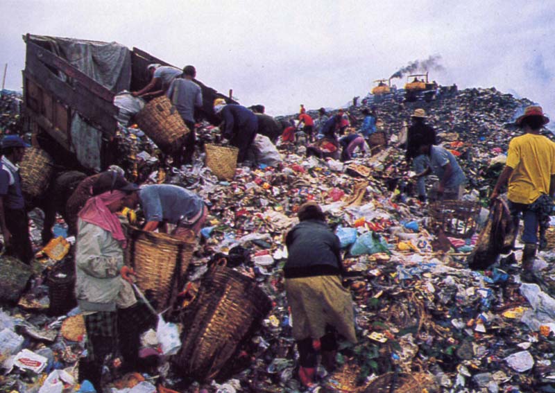 Buang Sampah Pada Tempatnya Buang Sampah Pada Tempatnya