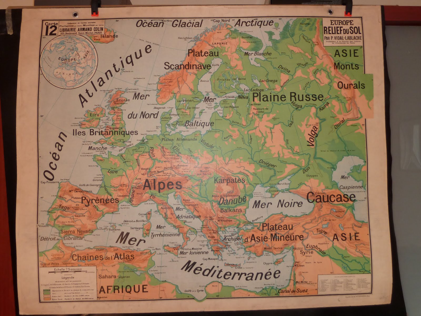 Vintage French Posters Botany Animals Anatomy, old World Maps from
