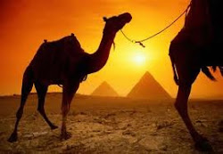 Sunset In Egypt