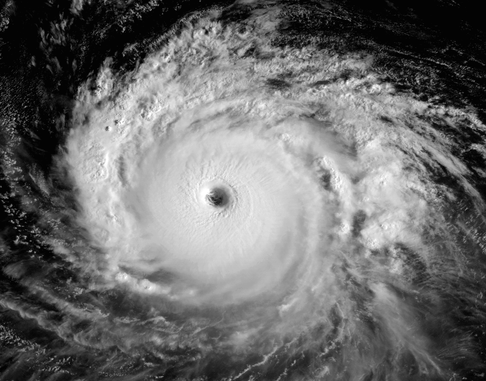 [hurricane.gif]