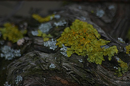 [IMG_1205.JPG]