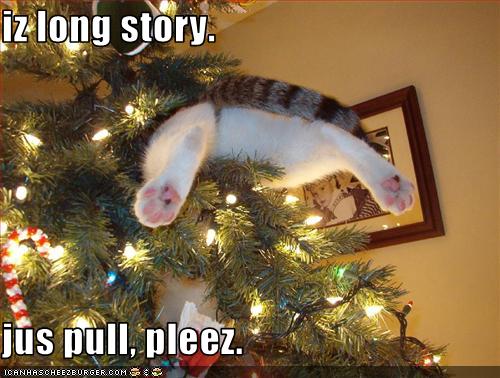 Funny Christmas Animal Funny Christmas Animal