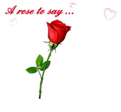 i love you i love you