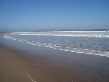 Playa El Borrego