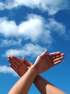 [a_bird_in_the_hands.jpg]