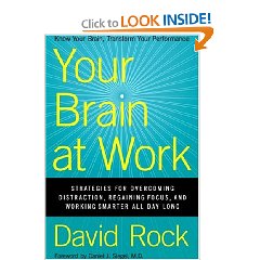 [david-rock.jpg]